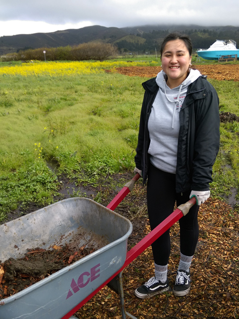 moving farm compost with wheelbarrow