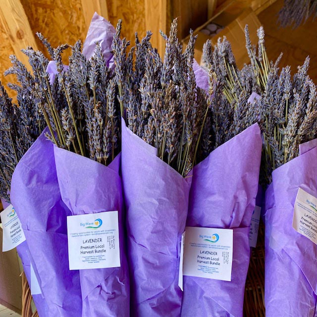 Big Wave Project Farm lavender bouquets