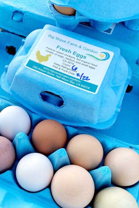 Big Wave Farm Fresh Eggs in cartons for sale at community market