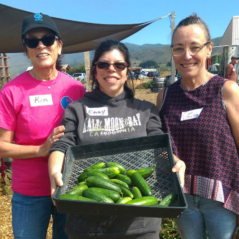 Big Wave Farm Days volunteers harvest produce