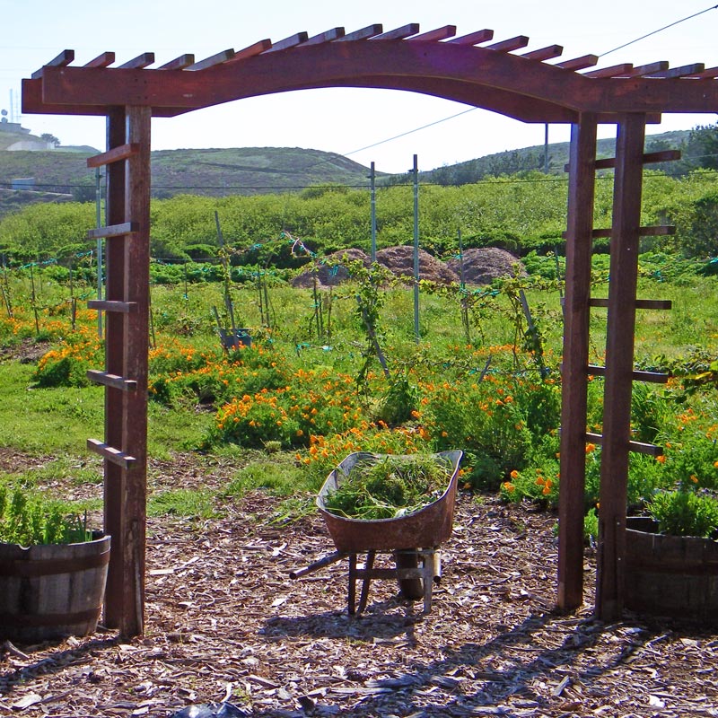 Big Wave Farm arbor entry to sustainable garden