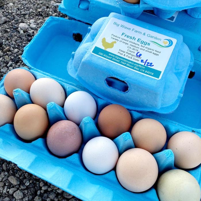 Big Wave Farm Fresh Eggs in cartons for sale at community market