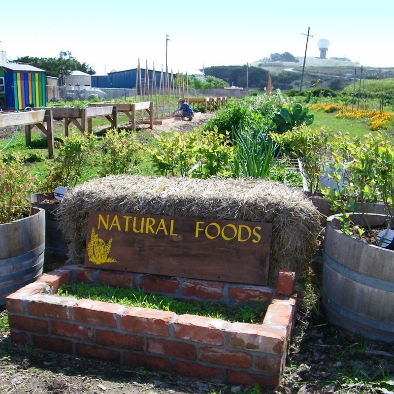 Big Wave Farm natural foods sign at sustainable garden