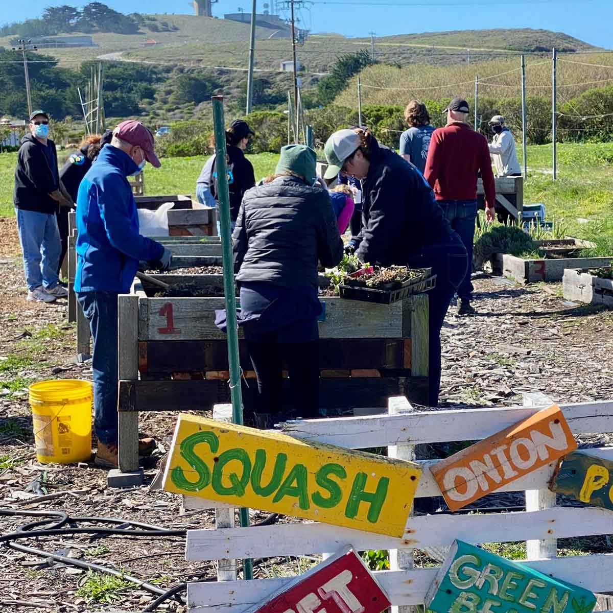 Farm Day volunteers working in garden boxes