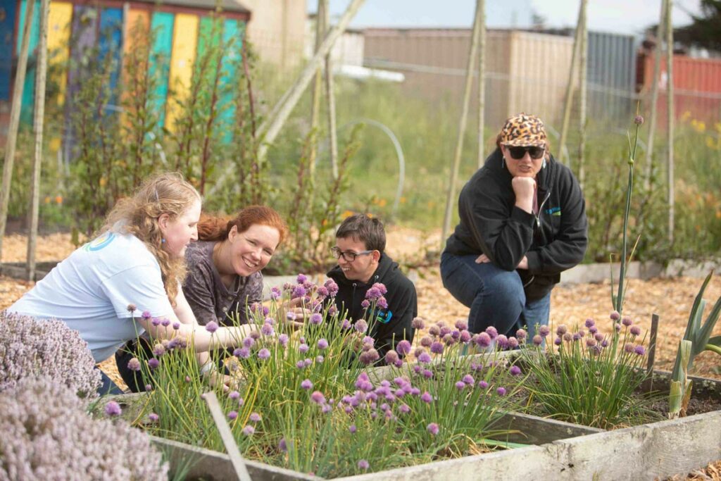 Big Wave Project future residents in the Big Wave Garden