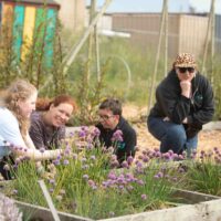 Big Wave future residents Sarah, Lizzy, Sam and Thea at Big Wave Farm